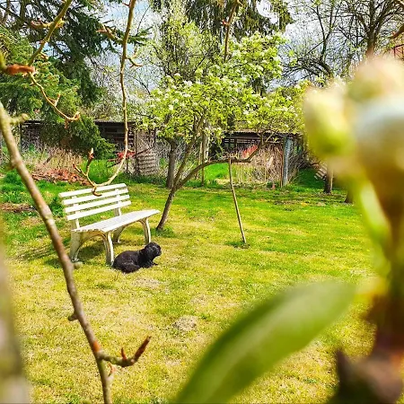 Am Alten Haus Altenmedingen