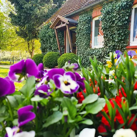 Апартаменты Am Alten Haus Altenmedingen