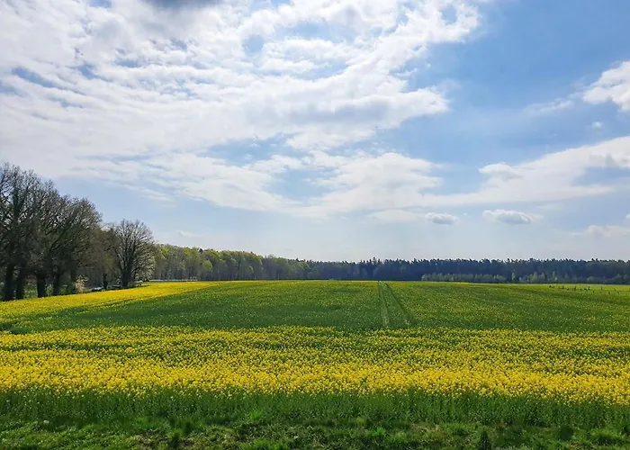 Am Alten Haus Altenmedingen