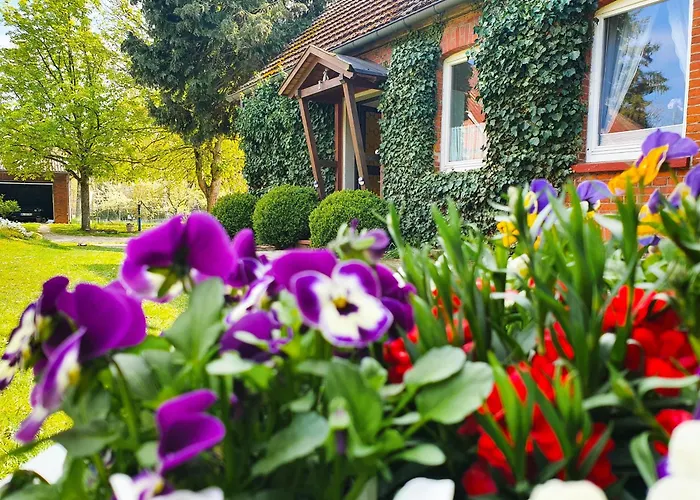 Apartament Am Alten Haus Altenmedingen